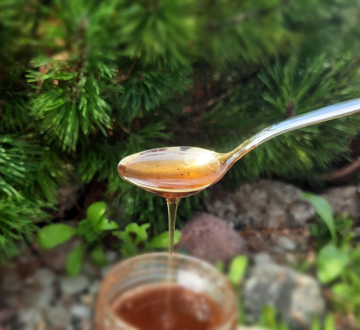 Pine needle syrup with cinnamon and cardamom - Image 2